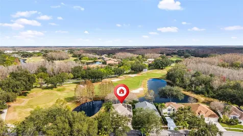 18955 Maisons Drive Lutz FL 33558