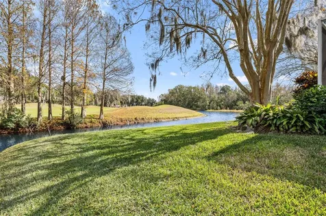 18955 Maisons Drive Lutz FL 33558