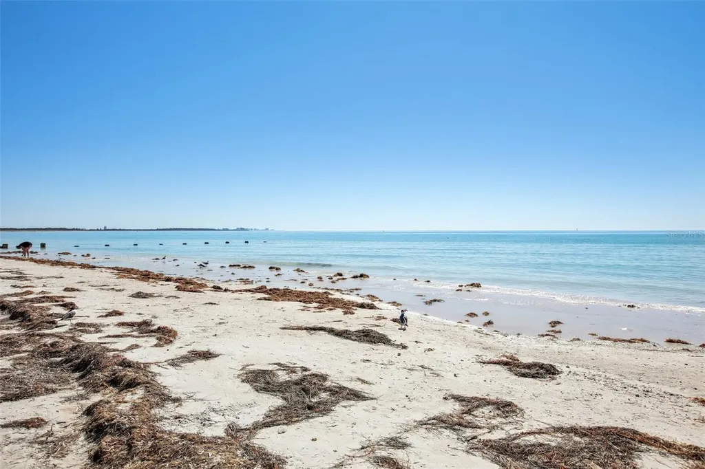 455 Alt 19 S Palm Harbor FL 34683