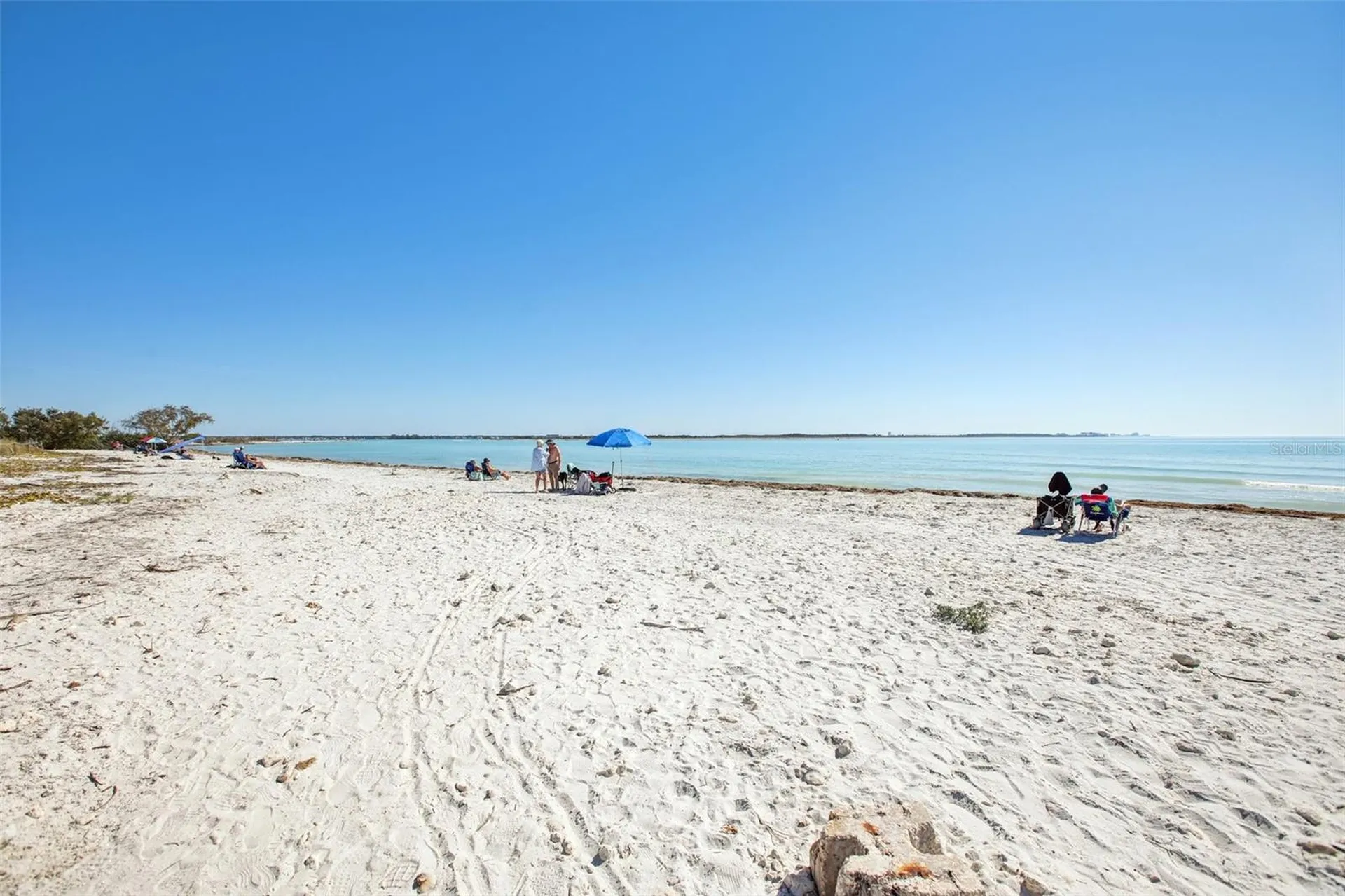 455 Alt 19 S Palm Harbor FL 34683