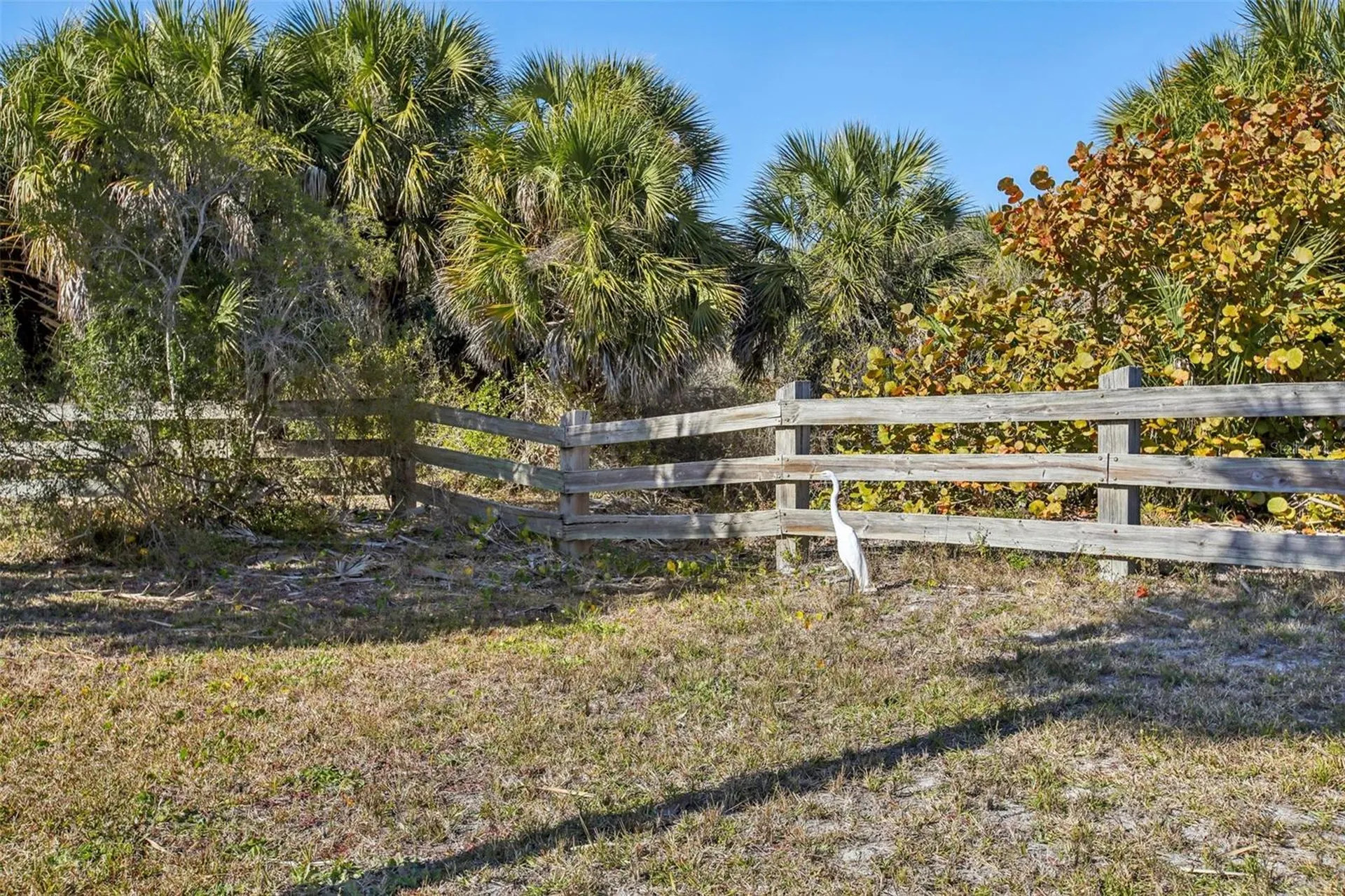 455 Alt 19 S Palm Harbor FL 34683
