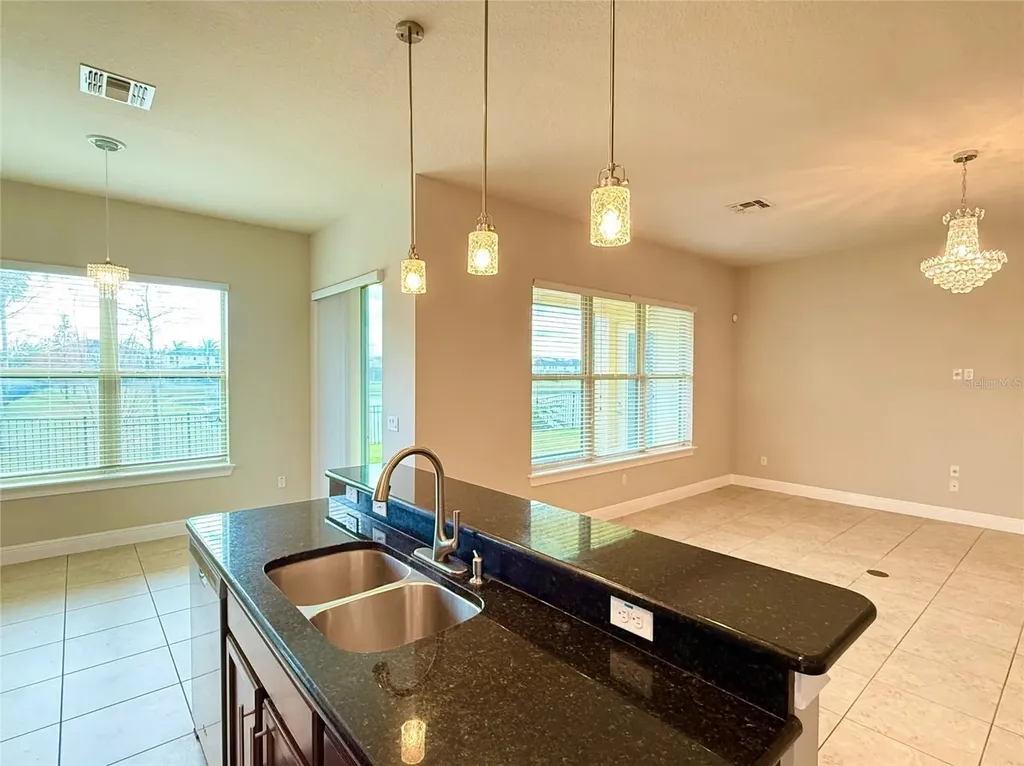 17514 Black Rail Street Windermere FL 34786
