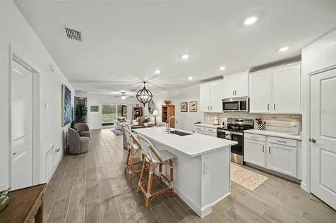 17244 Tortoise Crown Boulevard Land O Lakes FL 34638