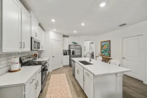 17244 Tortoise Crown Boulevard Land O Lakes FL 34638