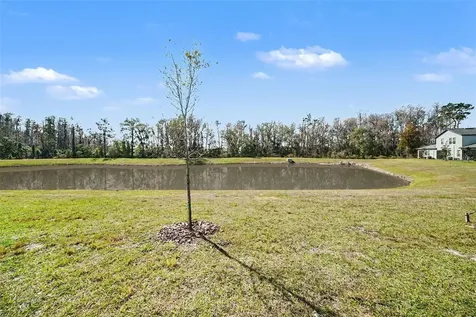 17244 Tortoise Crown Boulevard Land O Lakes FL 34638