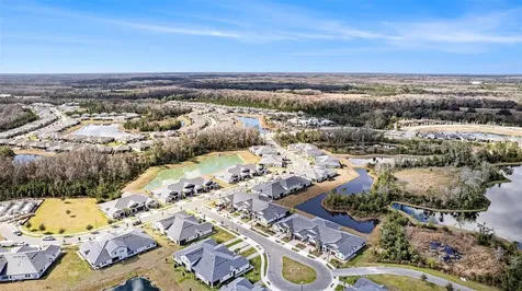 17244 Tortoise Crown Boulevard Land O Lakes FL 34638
