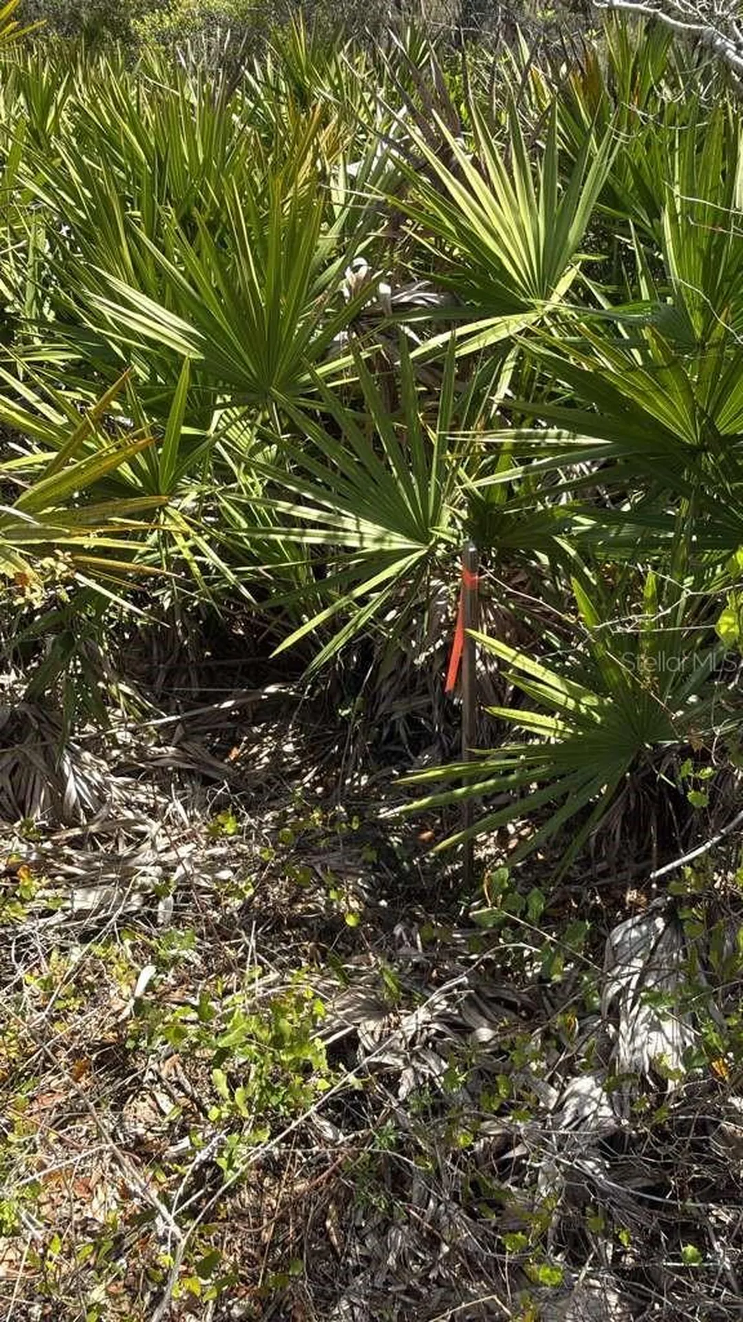 6110 County Road 17 S Sebring FL 33876
