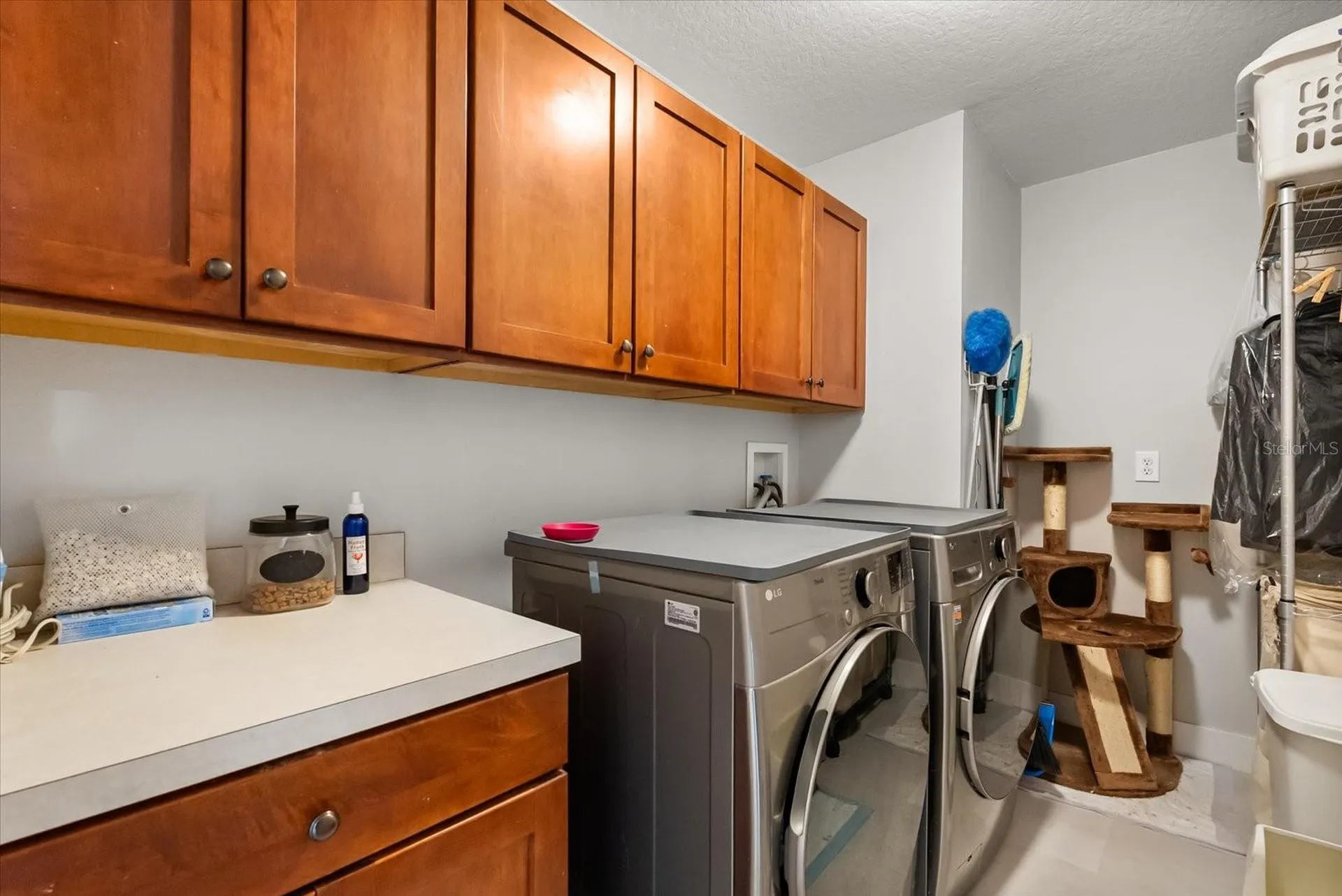 13850 Carolina Laurel Drive Orlando FL 32828