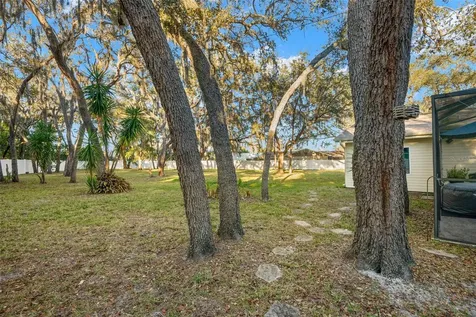 12005 Wren Court New Port Richey FL 34654