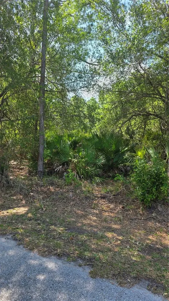 23445 Chimes Avenue Punta Gorda FL 33980
