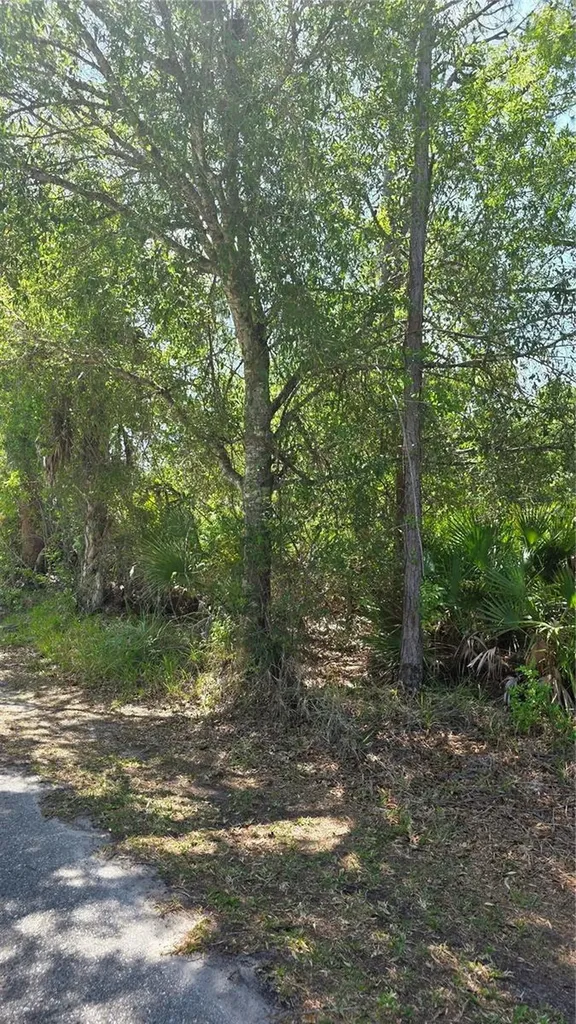23445 Chimes Avenue Punta Gorda FL 33980