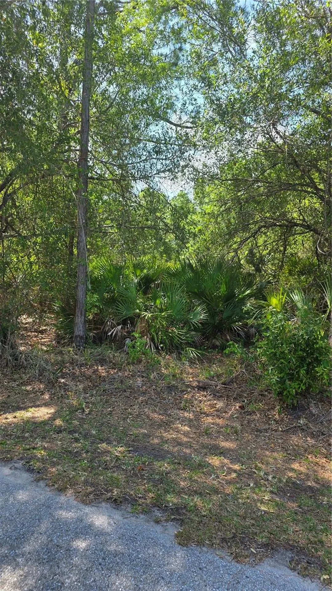 23445 Chimes Avenue Punta Gorda FL 33980