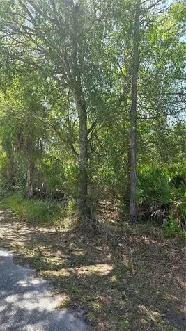 23445 Chimes Avenue Punta Gorda FL 33980