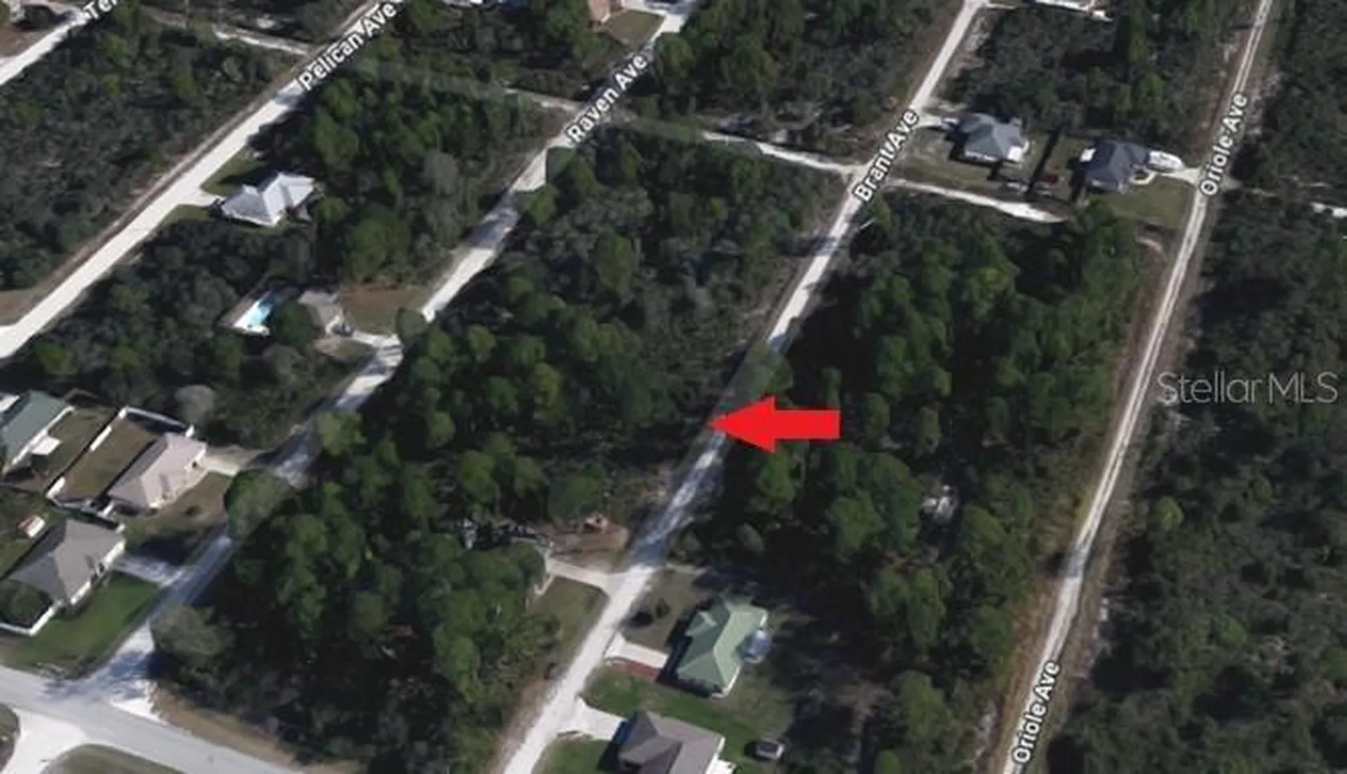 247 Brant Avenue Sebring FL 33870