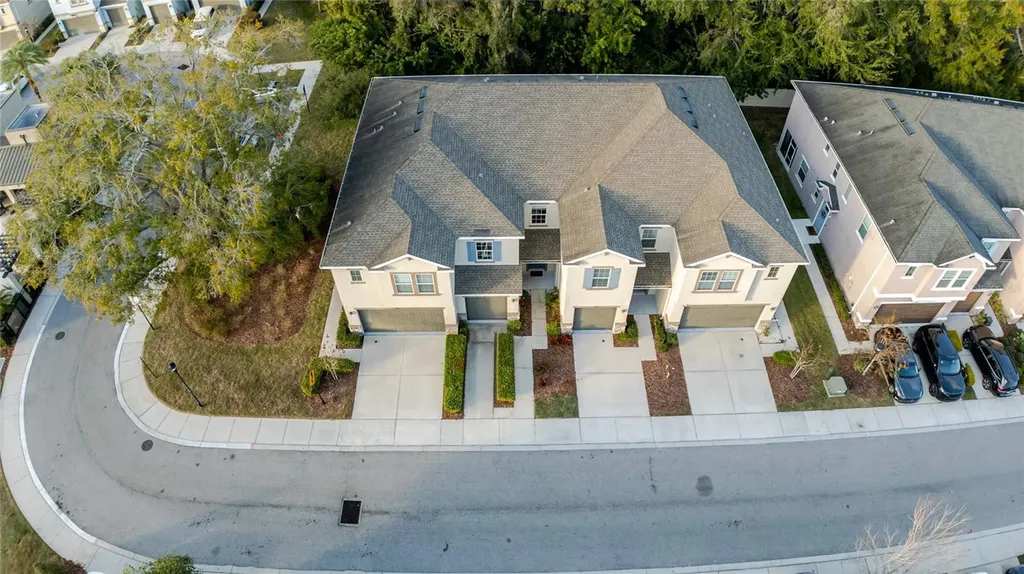 6625 Citrus Creek Lane Tampa FL 33625