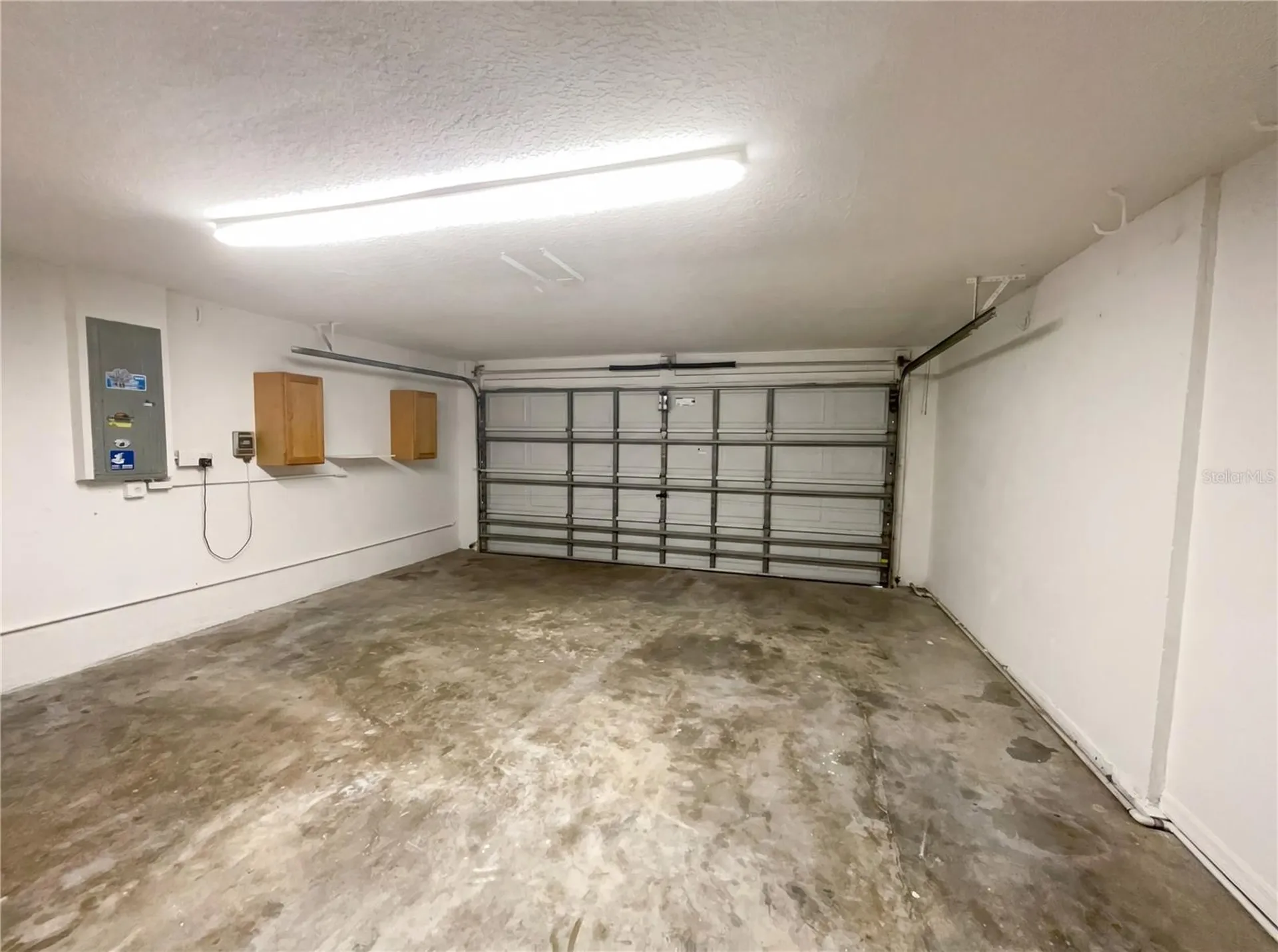18915 Nest Fern Circle Tampa FL 33647
