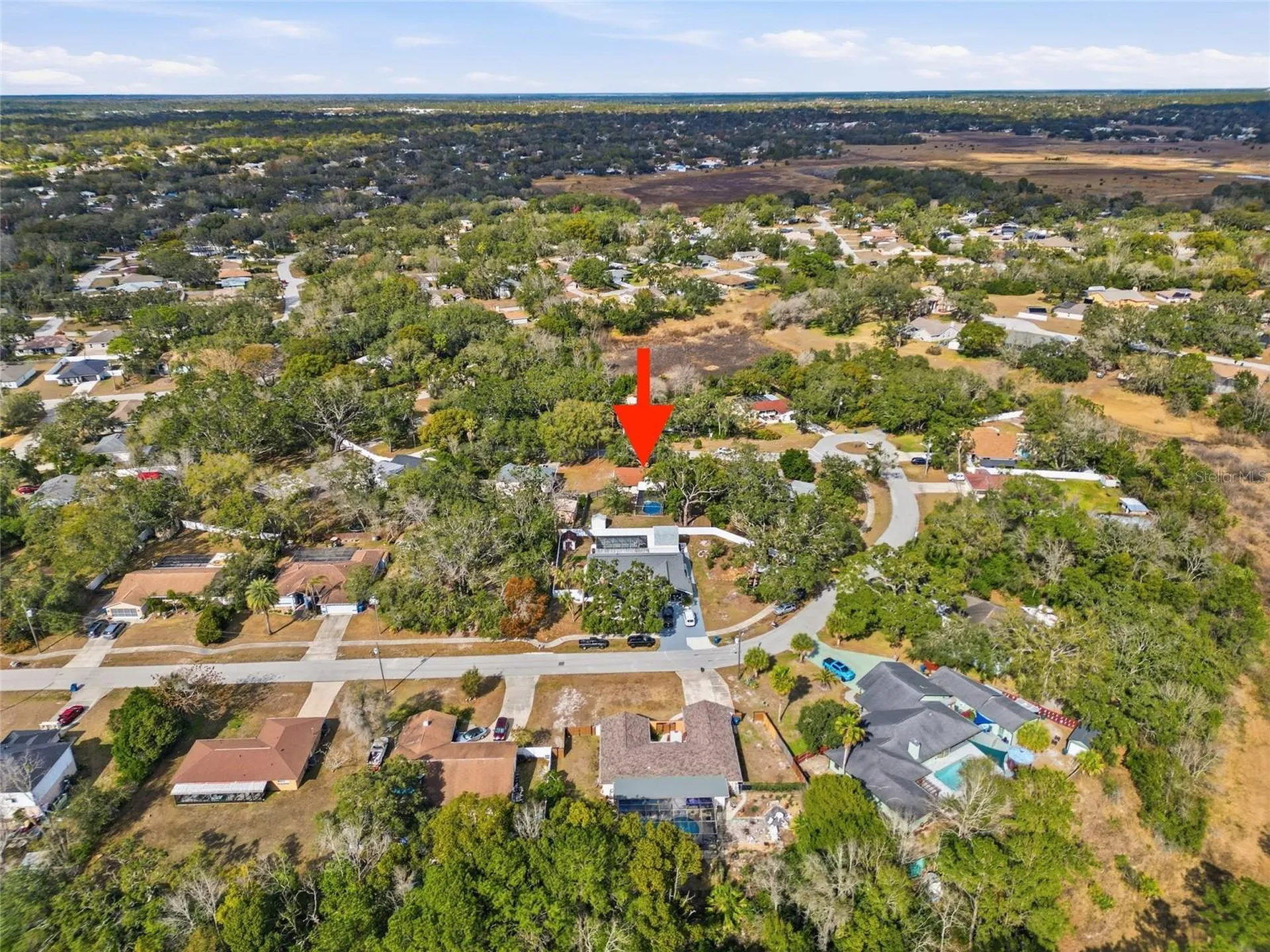 8398 Begonia Street Spring Hill FL 34608