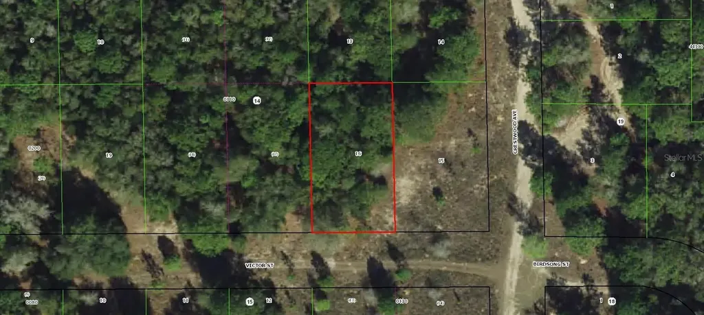 1902 Victor Street Inverness FL 34453