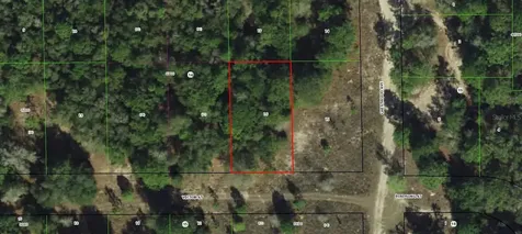 1902 Victor Street Inverness FL 34453
