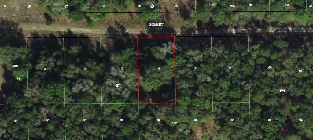 1913 Falkner Street Inverness FL 34453