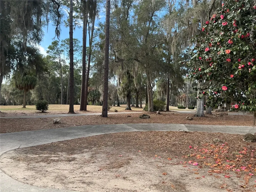 8870 SW 191st Circle Dunnellon FL 34432