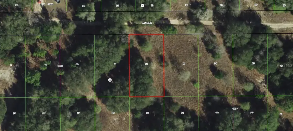 2409 Tyler Street Inverness FL 34453