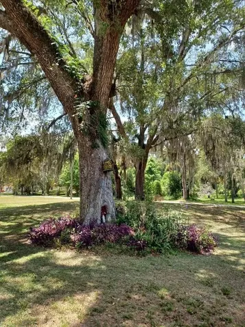 9461 W Tall Pines Court Crystal River FL 34428