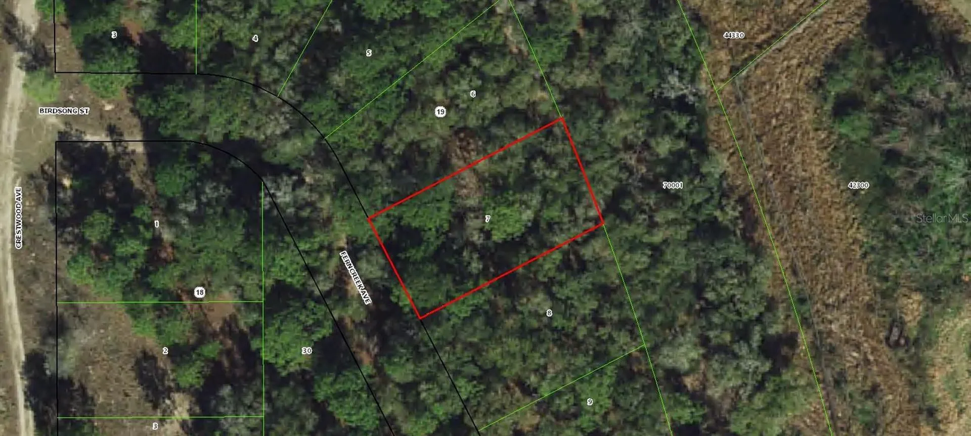 1006 Ferncreek Avenue Inverness FL 34453