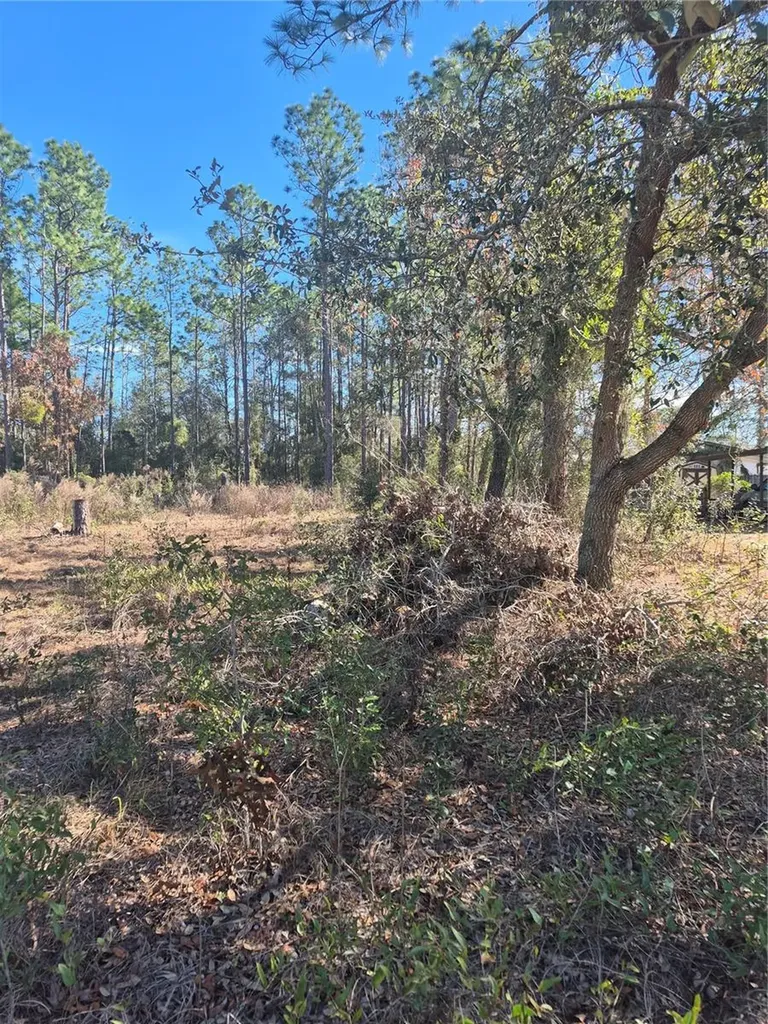 SE 87 Terrace Belleview FL 34420