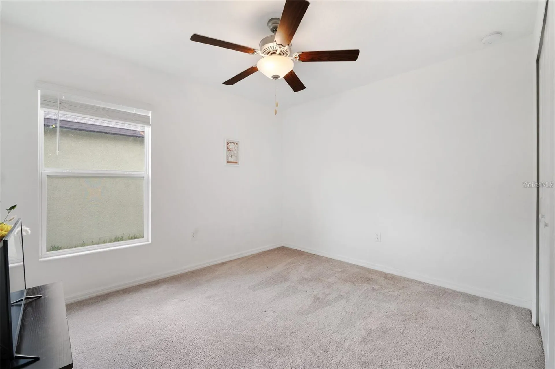 5517 Blue Azure Drive Wimauma FL 33598