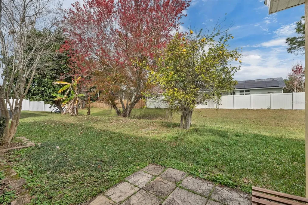 3249 Falcon Point Drive Kissimmee FL 34741
