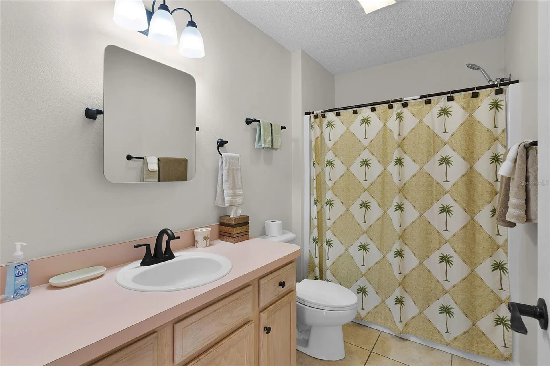 1116 San Bernardo Road The Villages FL 32162