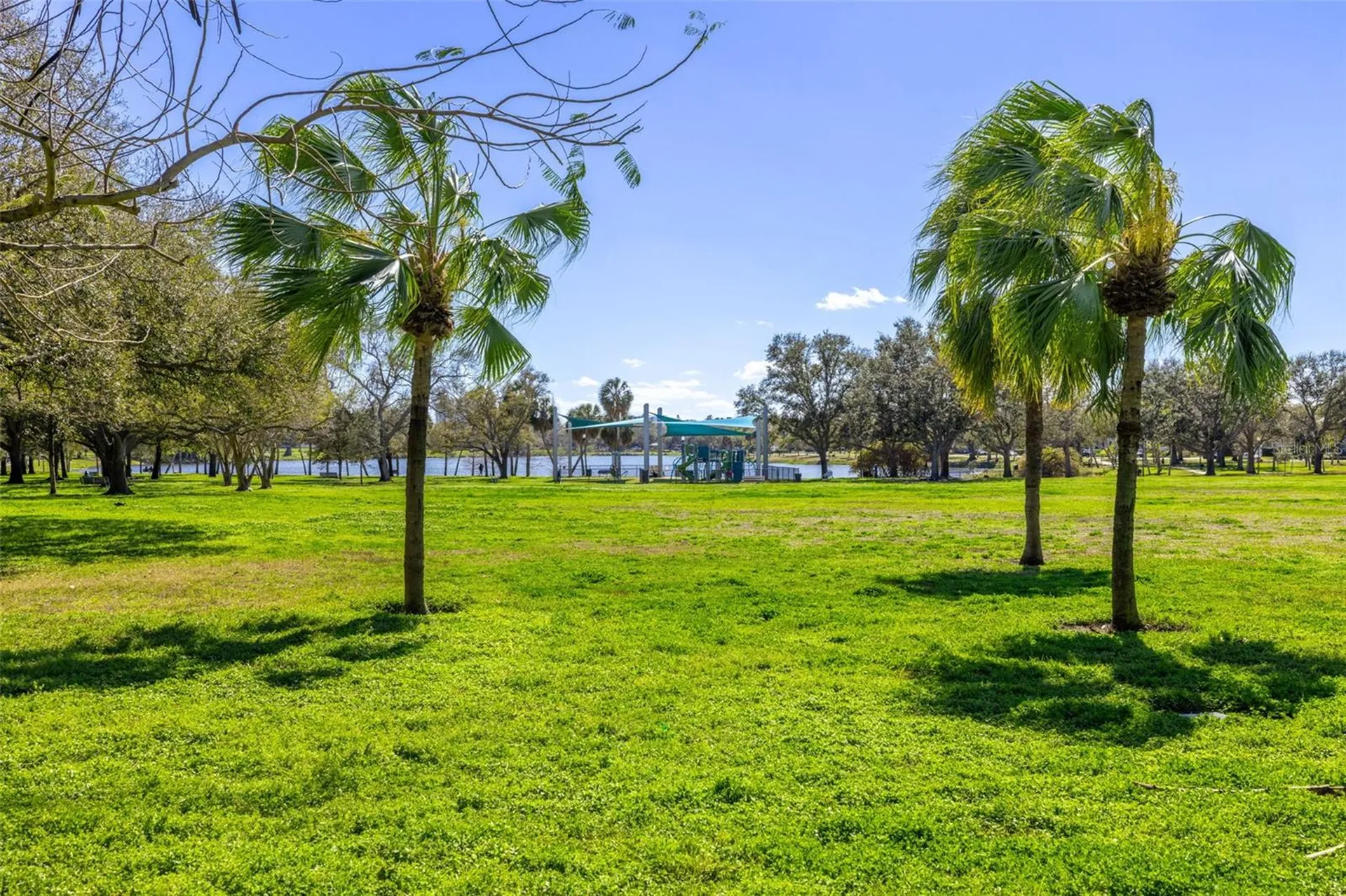 711 12th Avenue N St Petersburg FL 33701