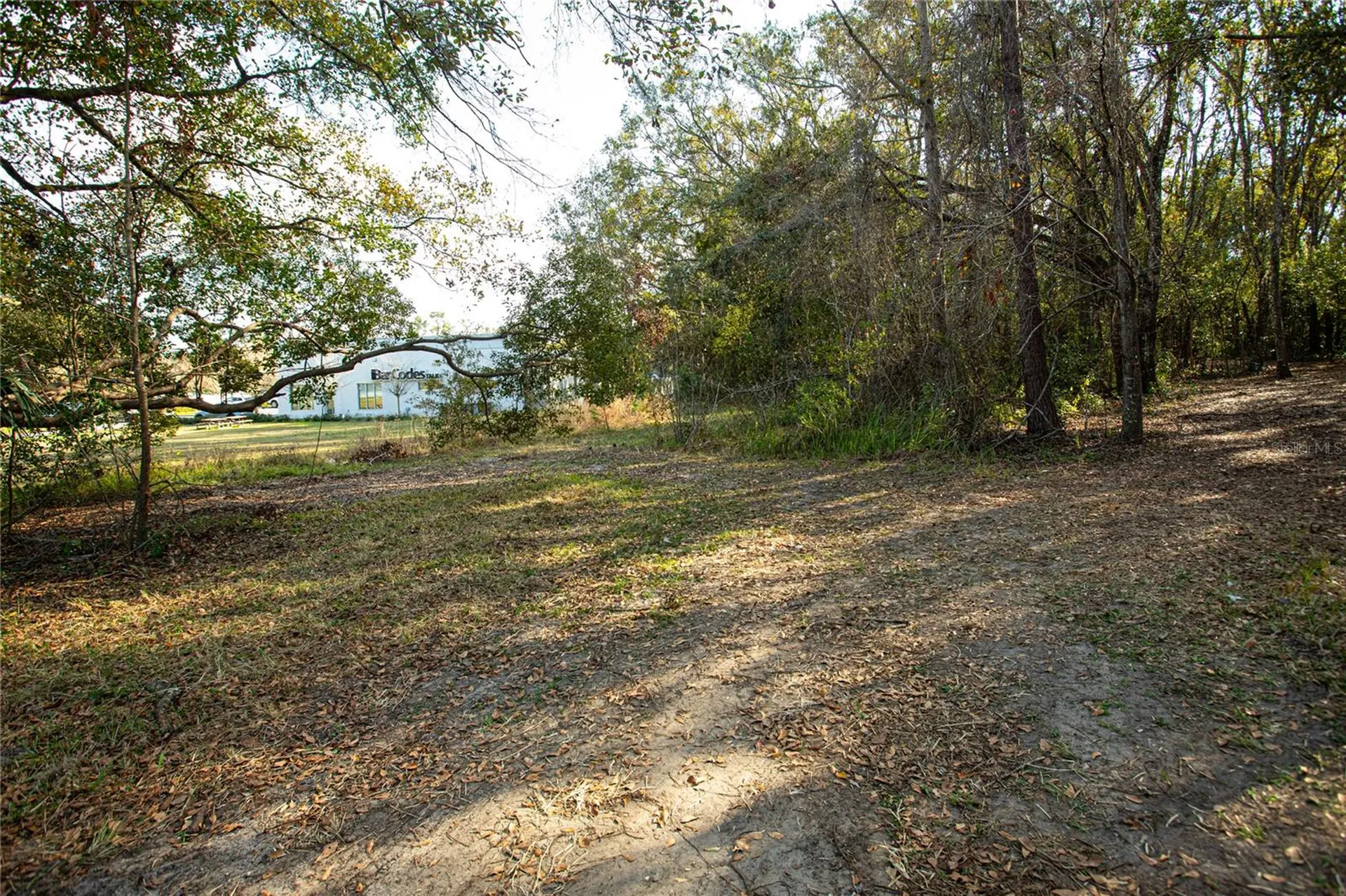 W Drive M L King Jr Boulevard Brooksville FL 34601