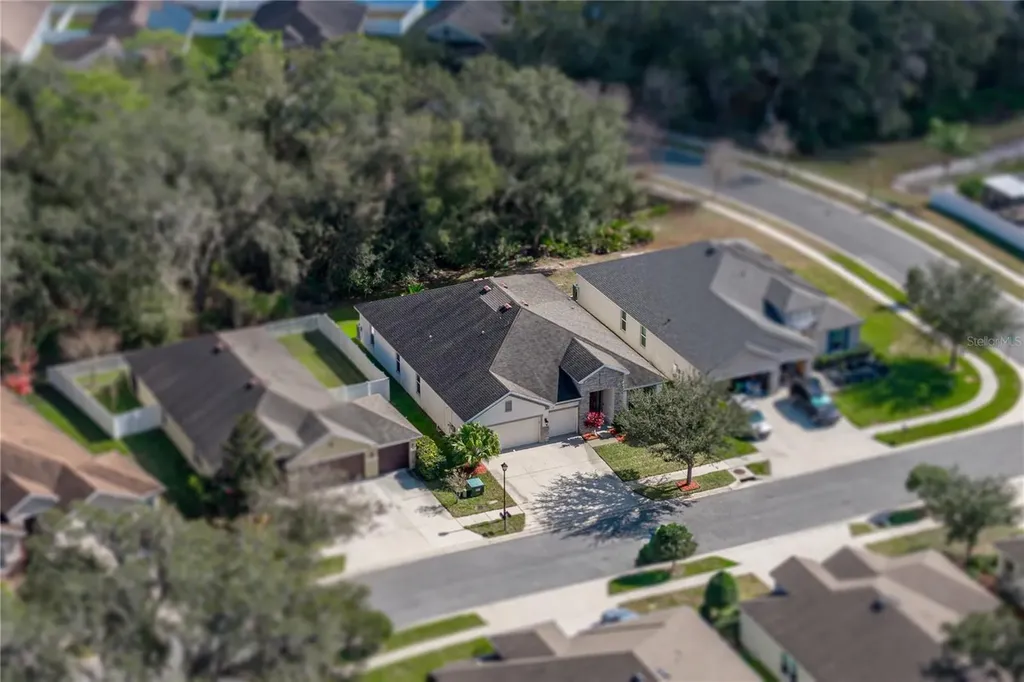 6414 Doe Path Court Wesley Chapel FL 33545