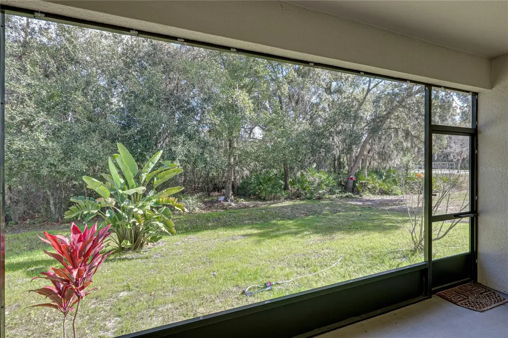 6414 Doe Path Court Wesley Chapel FL 33545