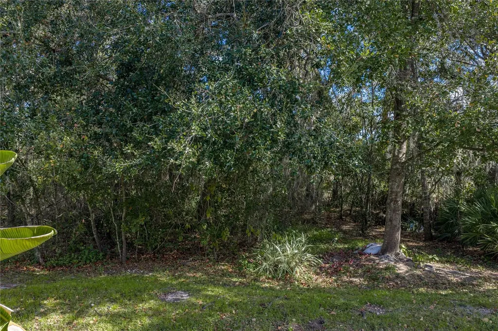 6414 Doe Path Court Wesley Chapel FL 33545