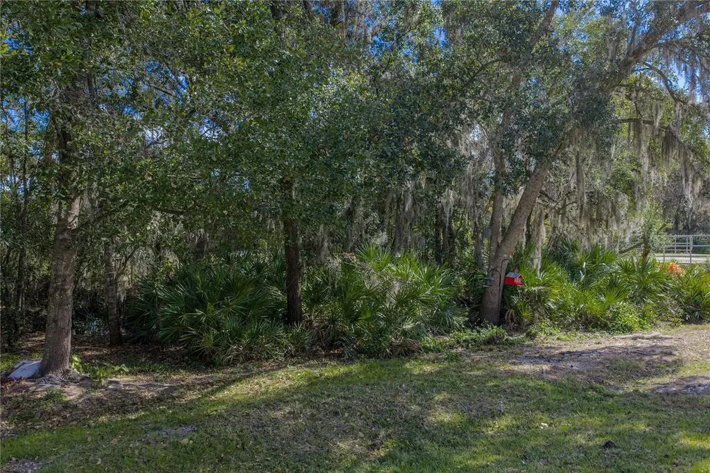 6414 Doe Path Court Wesley Chapel FL 33545