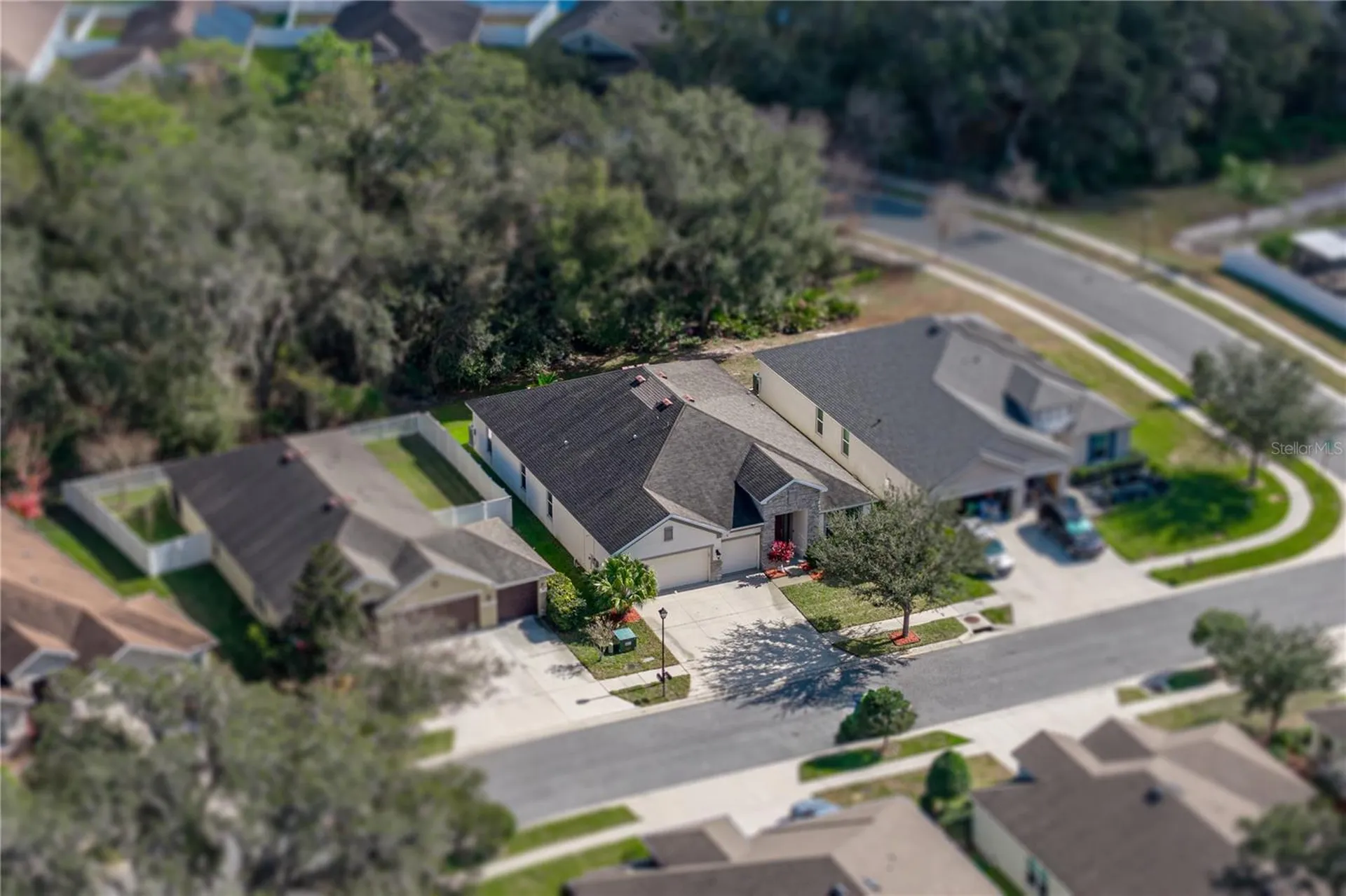 6414 Doe Path Court Wesley Chapel FL 33545