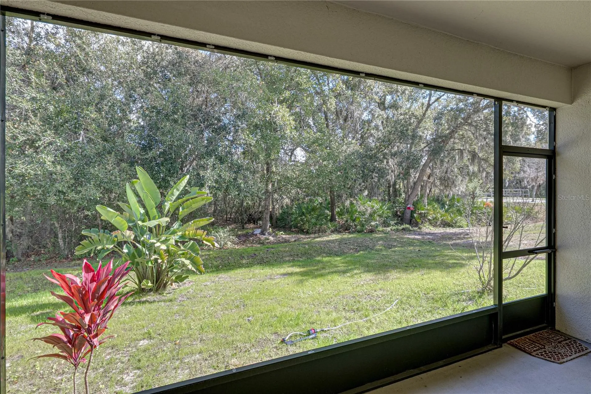 6414 Doe Path Court Wesley Chapel FL 33545