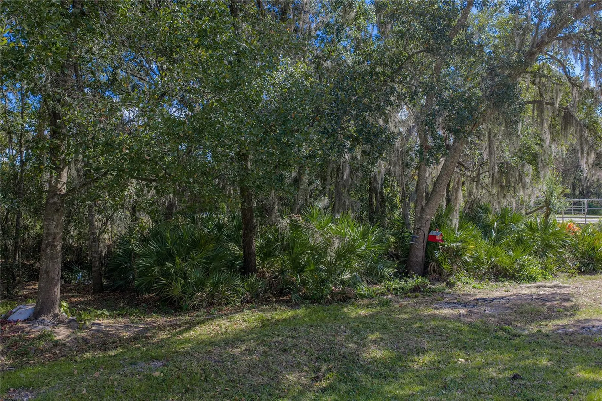 6414 Doe Path Court Wesley Chapel FL 33545