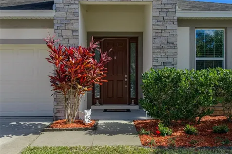6414 Doe Path Court Wesley Chapel FL 33545