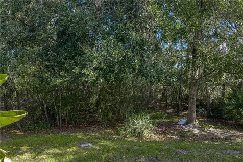 6414 Doe Path Court Wesley Chapel FL 33545