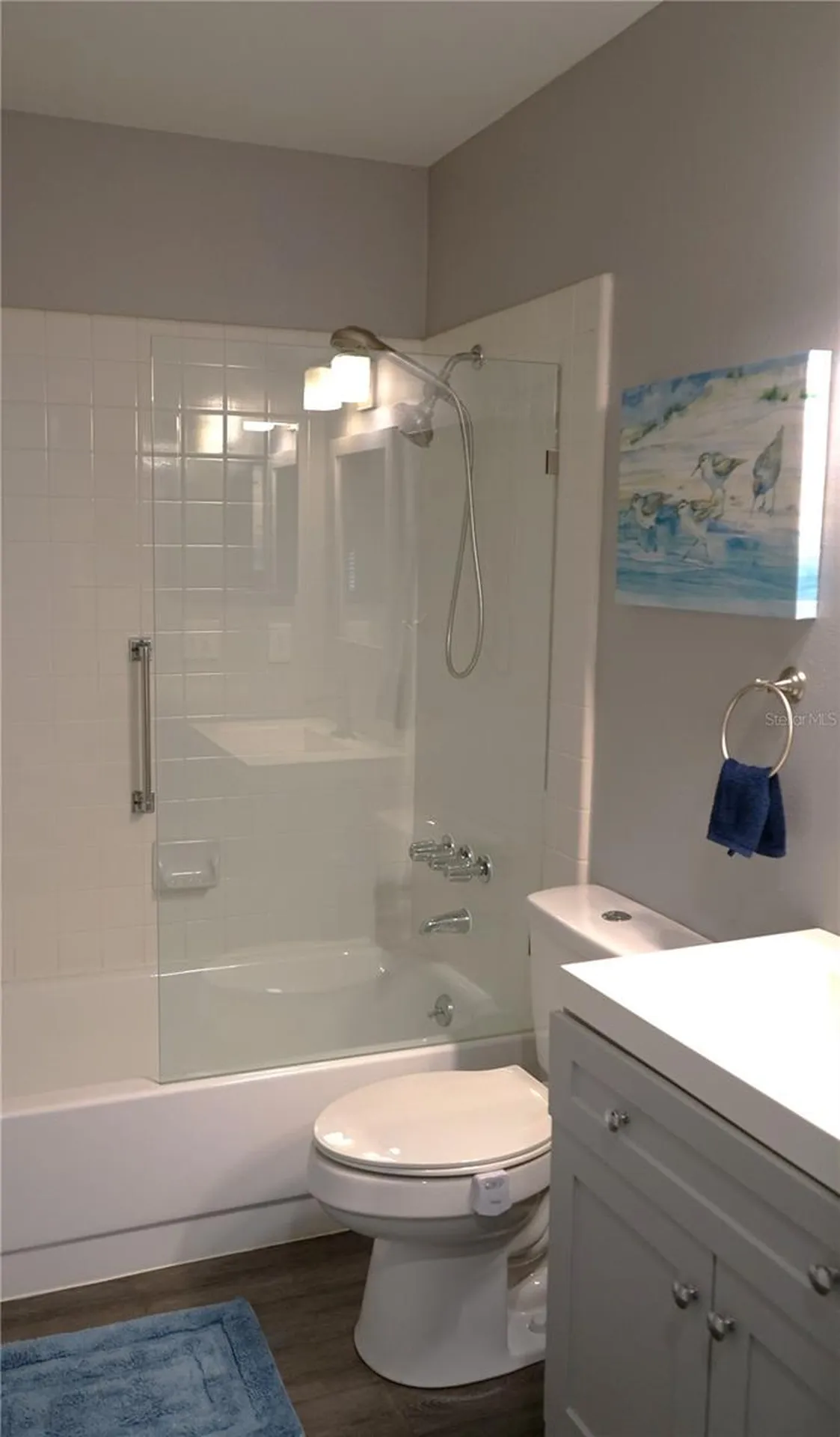 306 B Fowling Court Sun City Center FL 33573