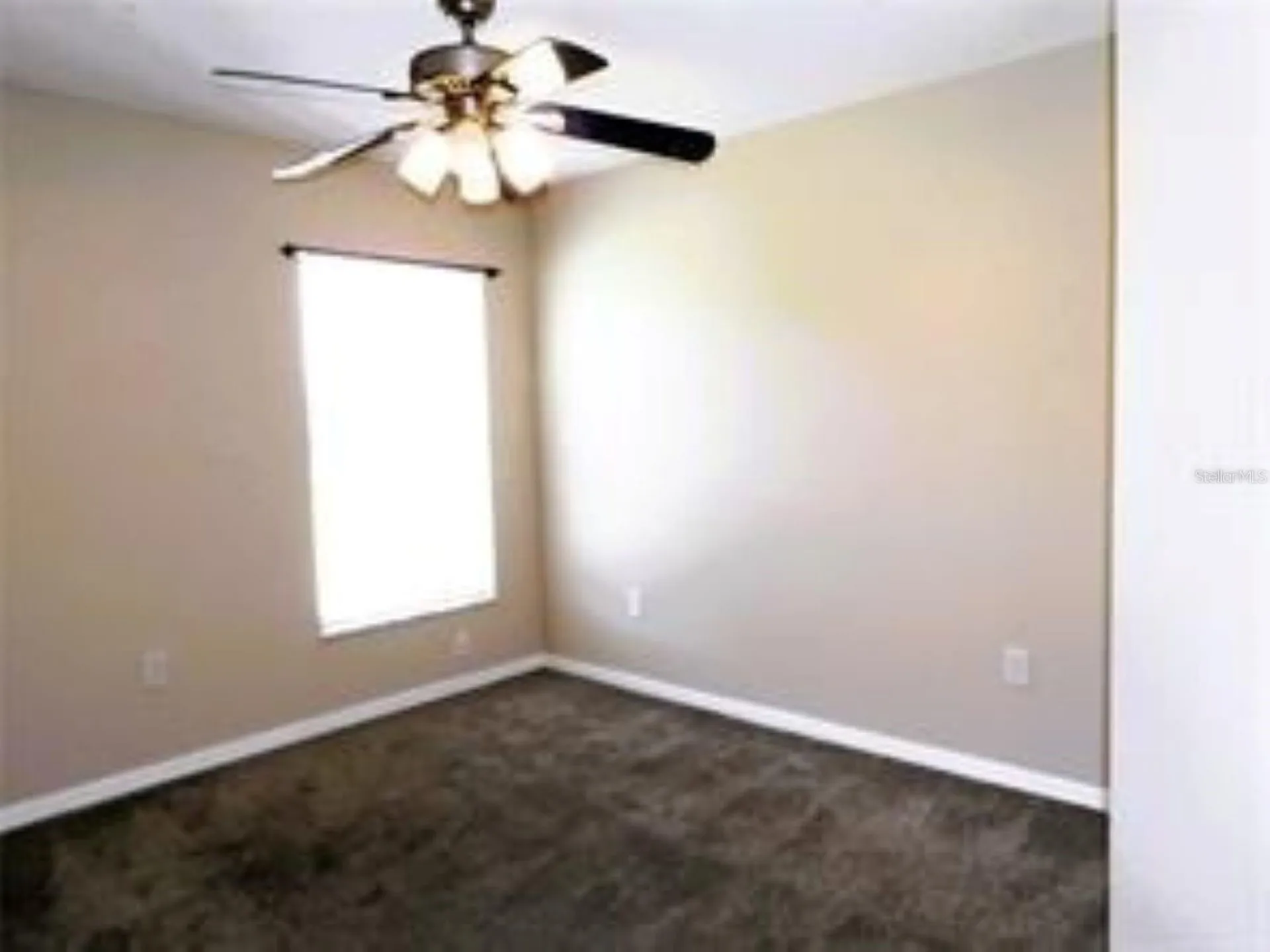 1802 Durkee Place Brandon FL 33511