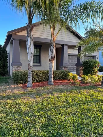 10616 Great Cormorant Drive Riverview FL 33579