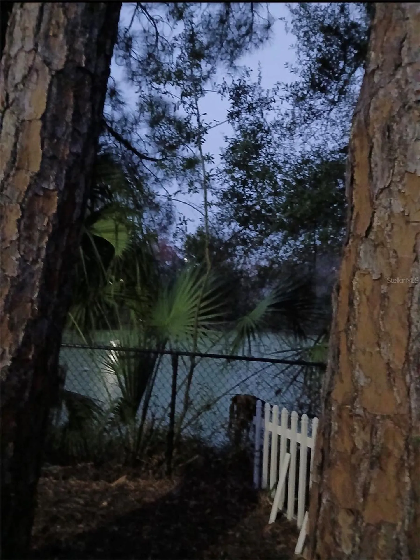 1930 Gregory Drive Tampa FL 33613