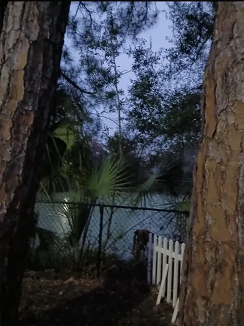 1930 Gregory Drive Tampa FL 33613