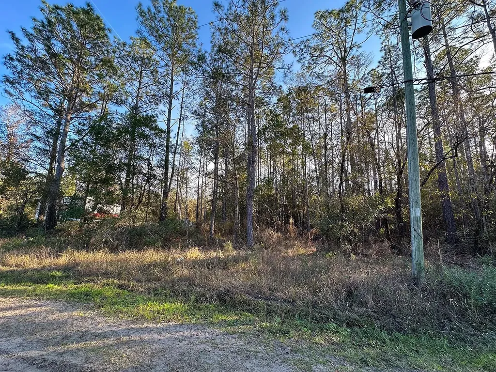 Lot 428 Division Street Hastings FL 32145