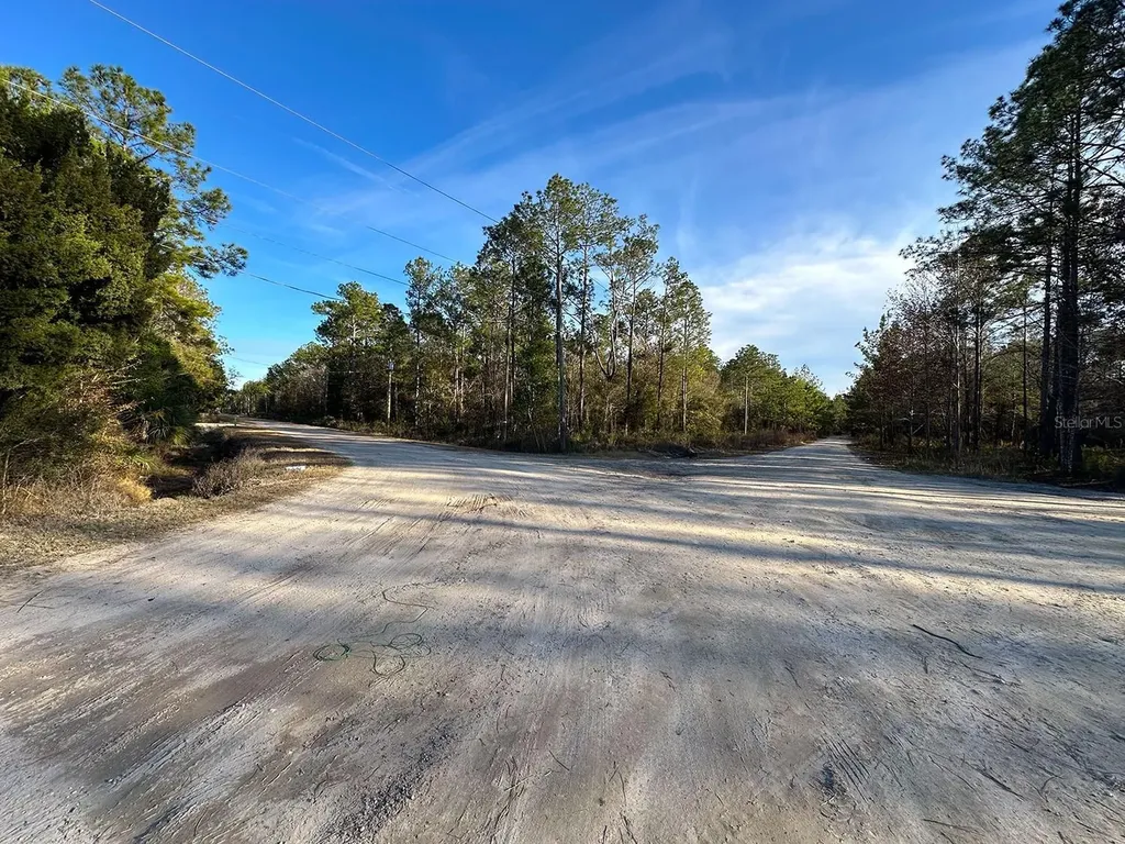 Lot 428 Division Street Hastings FL 32145